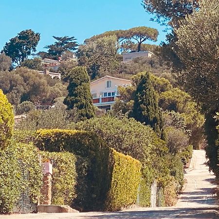Île du LevantLes Oreades, Studio Le Marin Avec Vue Mer Imprenable公寓 外观 照片